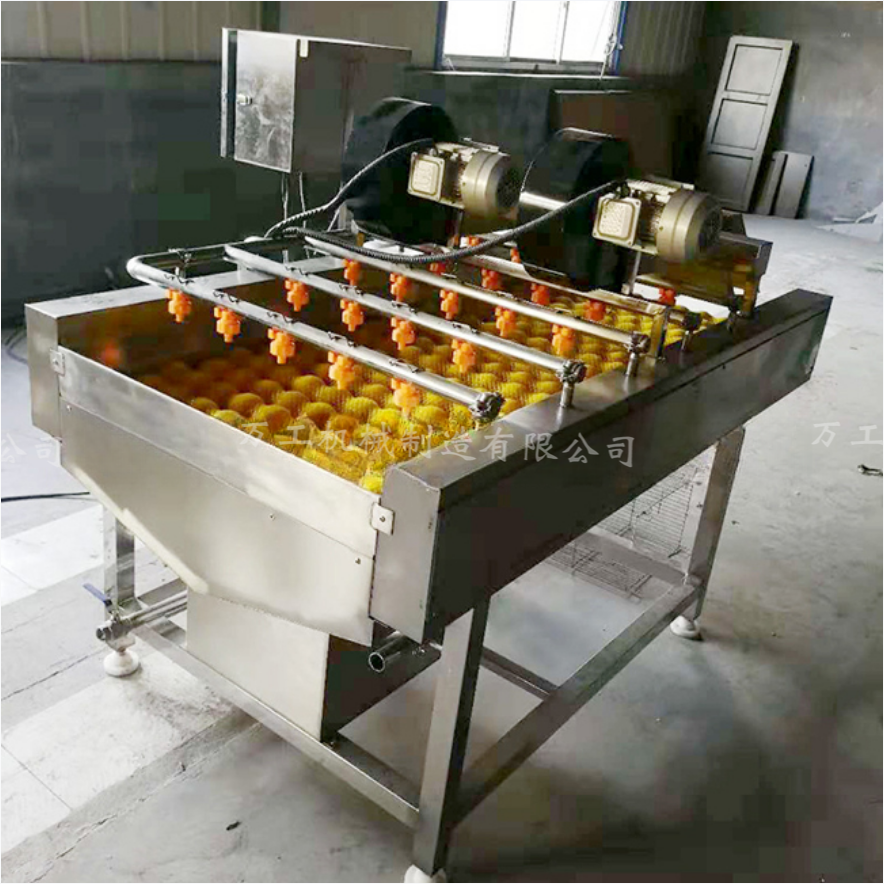 大棗清洗機 專業(yè)氣泡清洗設備